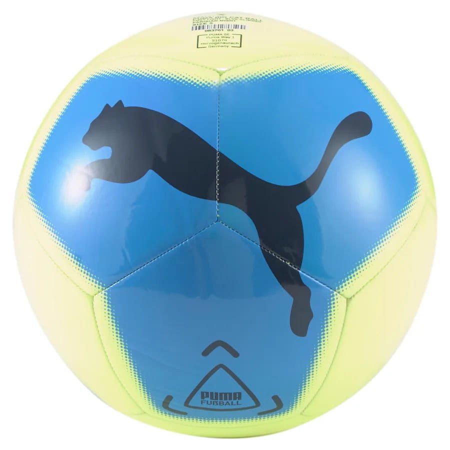 Bold Puma Big Cat ball