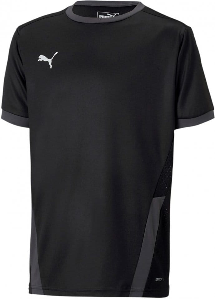 Trøje Puma teamGOAL 23 Jersey Jr